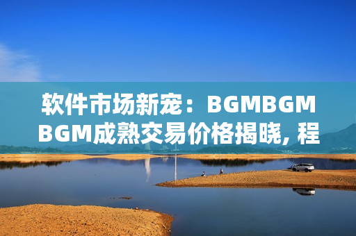 软件市场新宠：BGMBGMBGM成熟交易价格揭晓, 程序员们快来瞧瞧!