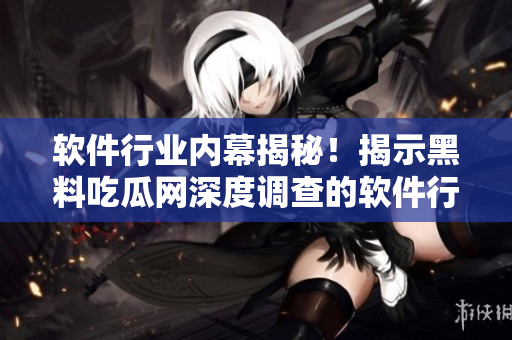 软件行业内幕揭秘！揭示黑料吃瓜网深度调查的软件行业内幕情报