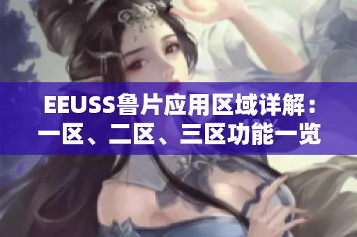 EEUSS鲁片应用区域详解：一区、二区、三区功能一览
