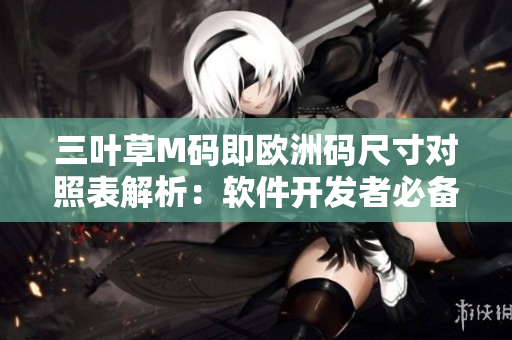 三叶草M码即欧洲码尺寸对照表解析：软件开发者必备！