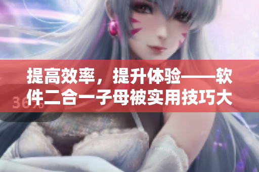 提高效率，提升体验——软件二合一子母被实用技巧大揭秘