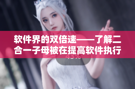 软件界的双倍速——了解二合一子母被在提高软件执行效率上的优势