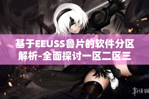基于EEUSS鲁片的软件分区解析-全面探讨一区二区三区