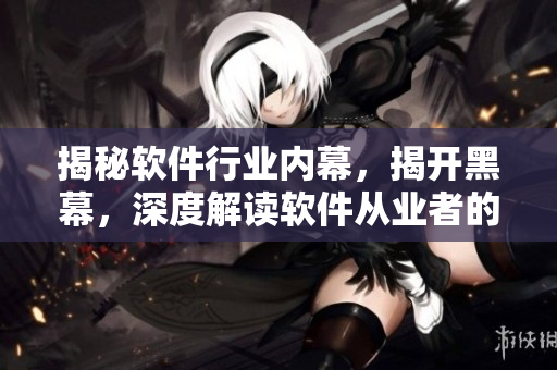 揭秘软件行业内幕，揭开黑幕，深度解读软件从业者的内幕故事