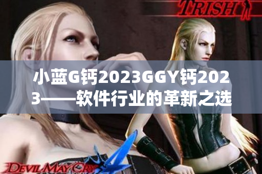 小蓝G钙2023GGY钙2023——软件行业的革新之选