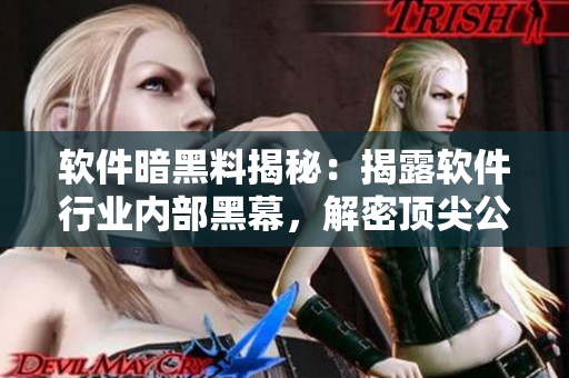 软件暗黑料揭秘：揭露软件行业内部黑幕，解密顶尖公司内幕万里长征