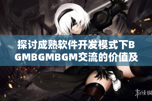 探讨成熟软件开发模式下BGMBGMBGM交流的价值及价格