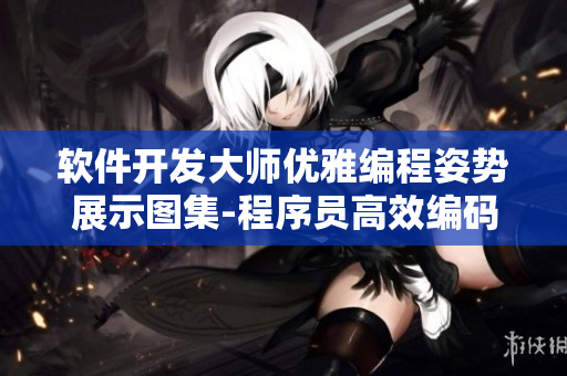 软件开发大师优雅编程姿势展示图集-程序员高效编码姿势详解