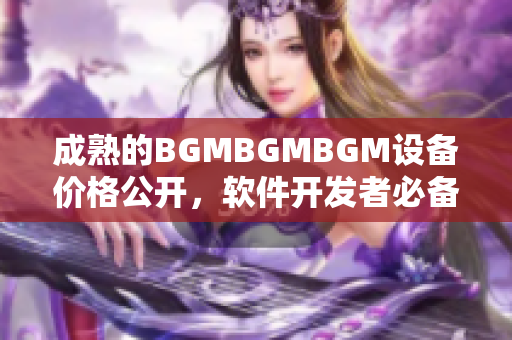 成熟的BGMBGMBGM设备价格公开，软件开发者必备神器