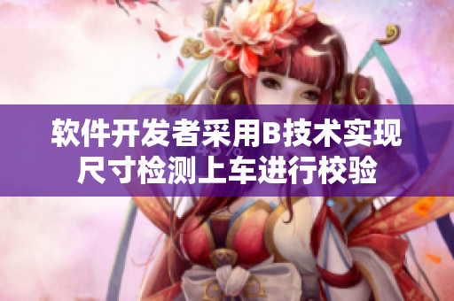 软件开发者采用B技术实现尺寸检测上车进行校验