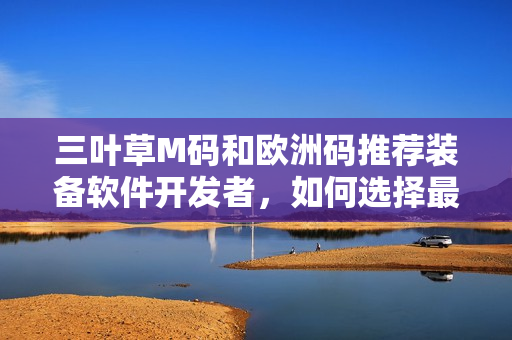 三叶草M码和欧洲码推荐装备软件开发者，如何选择最适合的编码规范？