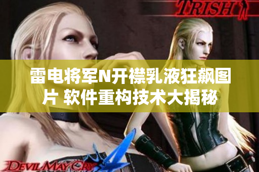 雷电将军N开襟乳液狂飙图片 软件重构技术大揭秘