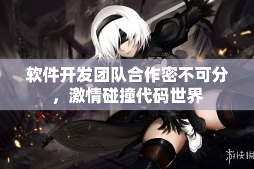软件开发团队合作密不可分，激情碰撞代码世界