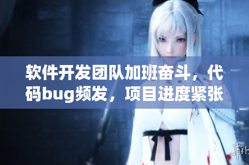 软件开发团队加班奋斗，代码bug频发，项目进度紧张