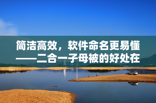 简洁高效，软件命名更易懂——二合一子母被的好处在软件领域的应用
