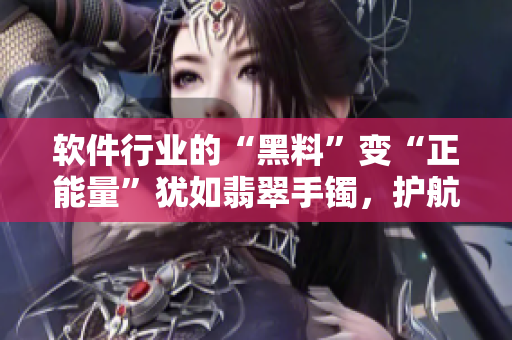 软件行业的“黑料”变“正能量”犹如翡翠手镯，护航未来！