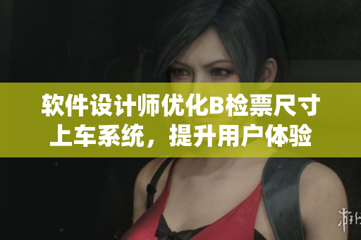 软件设计师优化B检票尺寸上车系统，提升用户体验