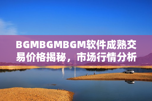 BGMBGMBGM软件成熟交易价格揭秘，市场行情分析及价格走势预测