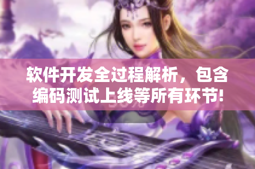 软件开发全过程解析，包含编码测试上线等所有环节!