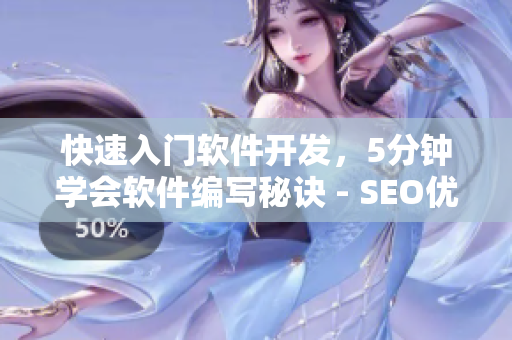 快速入门软件开发，5分钟学会软件编写秘诀 - SEO优化视频教程
