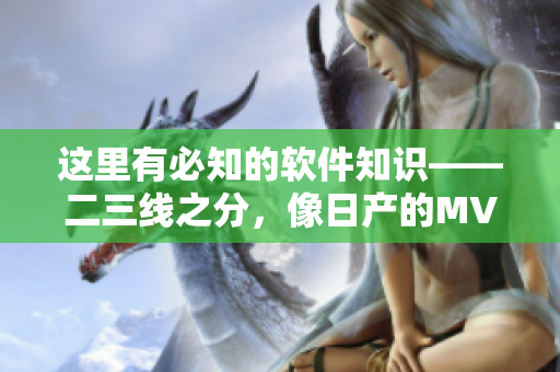 这里有必知的软件知识——二三线之分，像日产的MV一样精美！