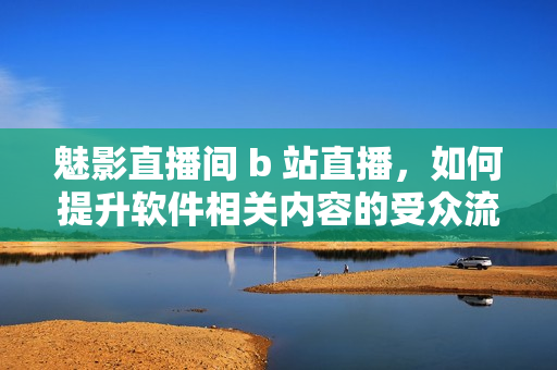 魅影直播间 b 站直播，如何提升软件相关内容的受众流量？