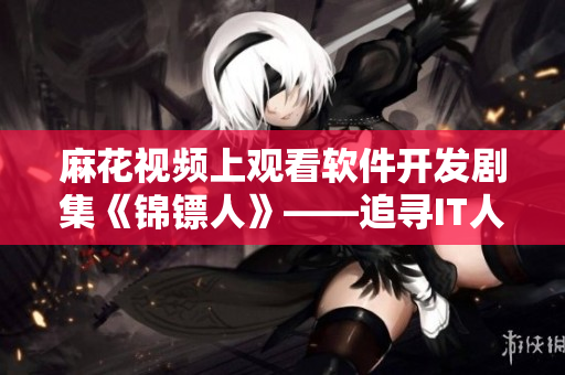 麻花视频上观看软件开发剧集《锦镖人》——追寻IT人的成长故事