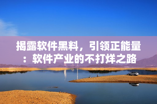 揭露软件黑料，引领正能量：软件产业的不打烊之路