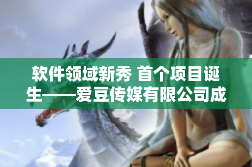 软件领域新秀 首个项目诞生——爱豆传媒有限公司成立