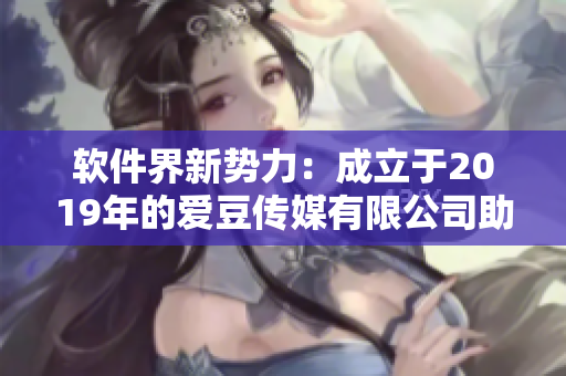 软件界新势力：成立于2019年的爱豆传媒有限公司助力软件行业发展