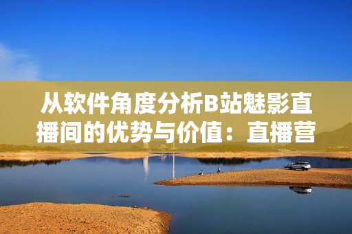 从软件角度分析B站魅影直播间的优势与价值：直播营销、弹幕互动和技术支持
