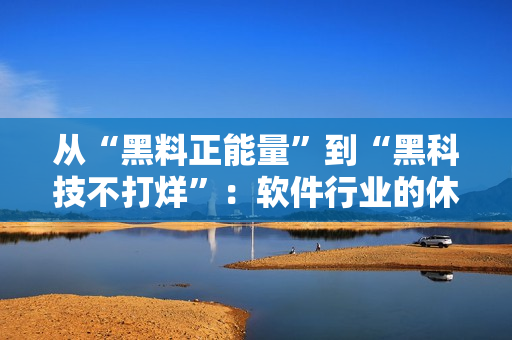 从“黑料正能量”到“黑科技不打烊”：软件行业的休息与挑战