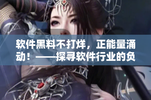 软件黑料不打烊，正能量涌动！——探寻软件行业的负面事件与积极力量