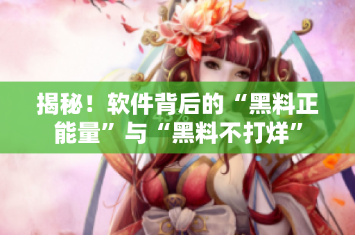 揭秘！软件背后的“黑料正能量”与“黑料不打烊”
