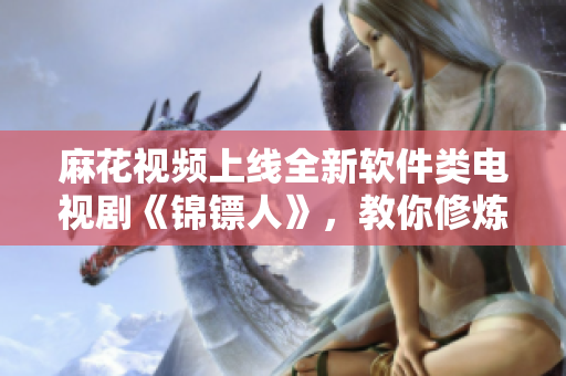 麻花视频上线全新软件类电视剧《锦镖人》，教你修炼软件编程神技！