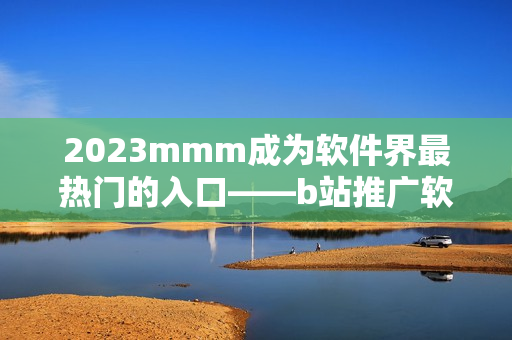 2023mmm成为软件界最热门的入口——b站推广软件繁荣进化