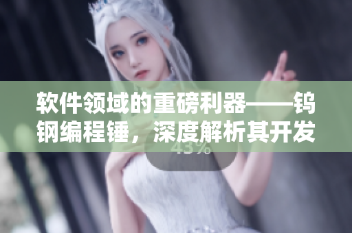 软件领域的重磅利器——钨钢编程锤，深度解析其开发及使用技巧