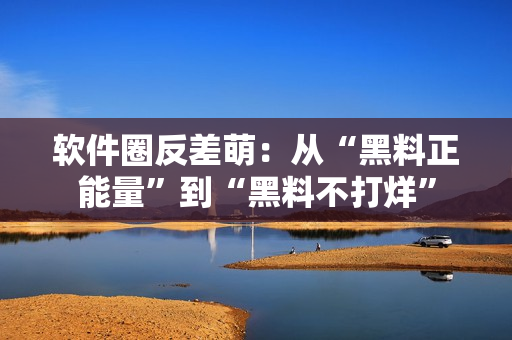 软件圈反差萌：从“黑料正能量”到“黑料不打烊”