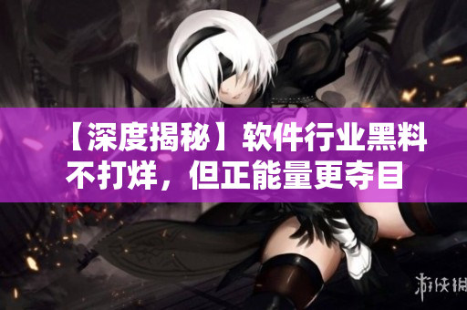 【深度揭秘】软件行业黑料不打烊，但正能量更夺目