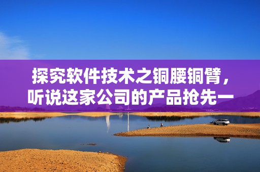 探究软件技术之铜腰铜臂，听说这家公司的产品抢先一步