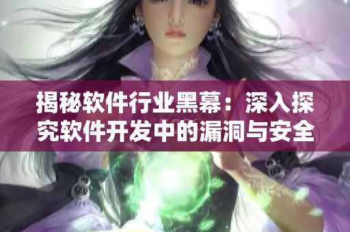 揭秘软件行业黑幕：深入探究软件开发中的漏洞与安全问题