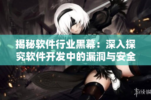 揭秘软件行业黑幕：深入探究软件开发中的漏洞与安全问题