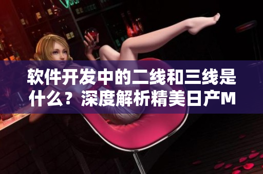 软件开发中的二线和三线是什么？深度解析精美日产MV的启示