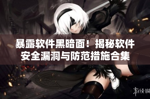 暴露软件黑暗面！揭秘软件安全漏洞与防范措施合集