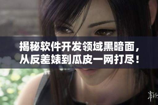 揭秘软件开发领域黑暗面，从反差婊到瓜皮一网打尽！
