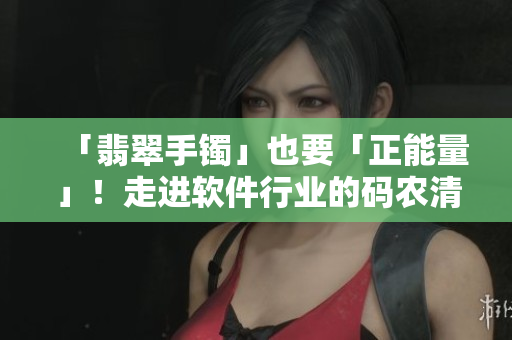 「翡翠手镯」也要「正能量」!走进软件行业的码农清流之路 「翡翠手镯」也要「正能量」!走进软件行业的码农清流之路
