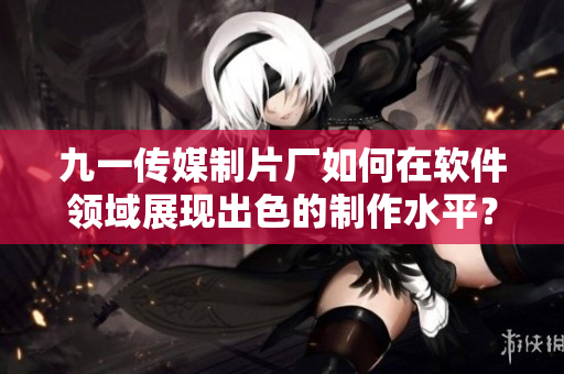 九一传媒制片厂如何在软件领域展现出色的制作水平？