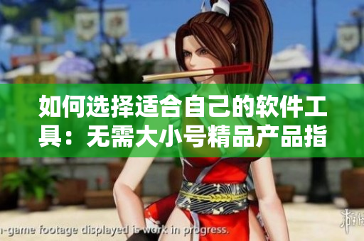 如何选择适合自己的软件工具：无需大小号精品产品指南