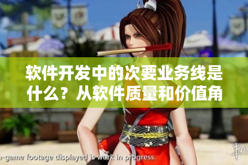 软件开发中的次要业务线是什么？从软件质量和价值角度出发进行剖析