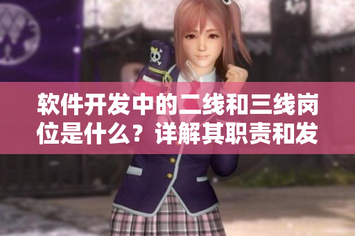 软件开发中的二线和三线岗位是什么？详解其职责和发展方向